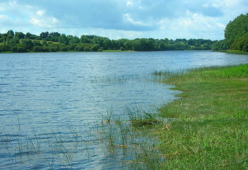 2011-06-16 32 Glomel - On piquerait bien une tete.JPG